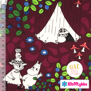 Moomin Efni 6