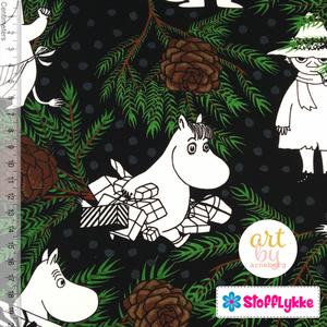 Moomin Efni 2