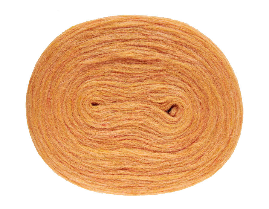 Plötulopi
